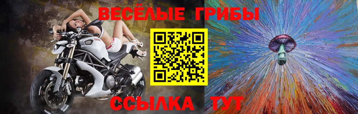 Псилоцибиновые грибы GOLDEN TEACHER Амурск